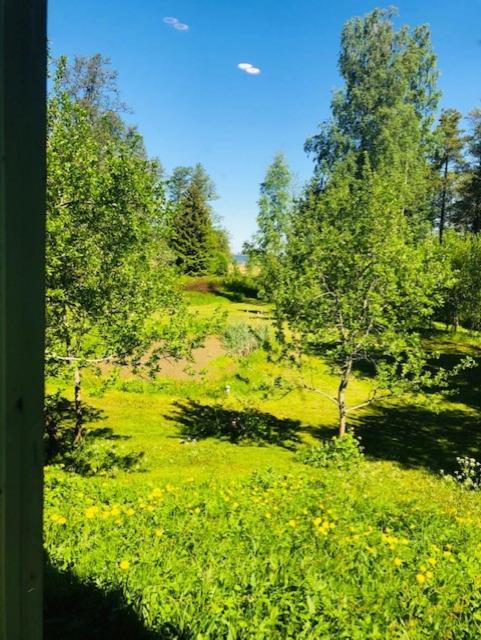 Altja Villa-Cottage With Sauna Exterior foto